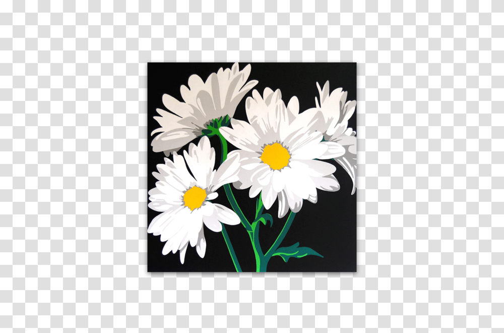 White Daisies Canvas River, Plant, Daisy, Flower, Blossom Transparent Png