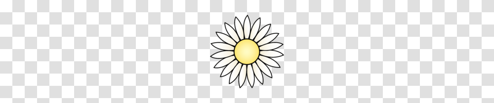 White Daisy Bouquet Clipart Images Clip Art, Plant, Flower, Blossom, Daisies Transparent Png