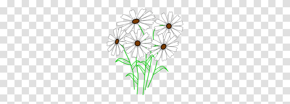 White Daisy Bunch Clip Arts For Web, Plant, Flower, Daisies, Blossom Transparent Png