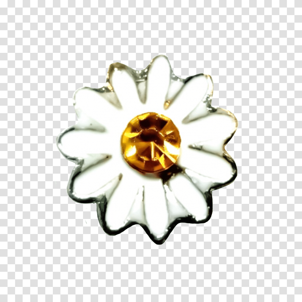 White Daisy Charm Locket Junkie, Accessories, Accessory, Jewelry, Crystal Transparent Png