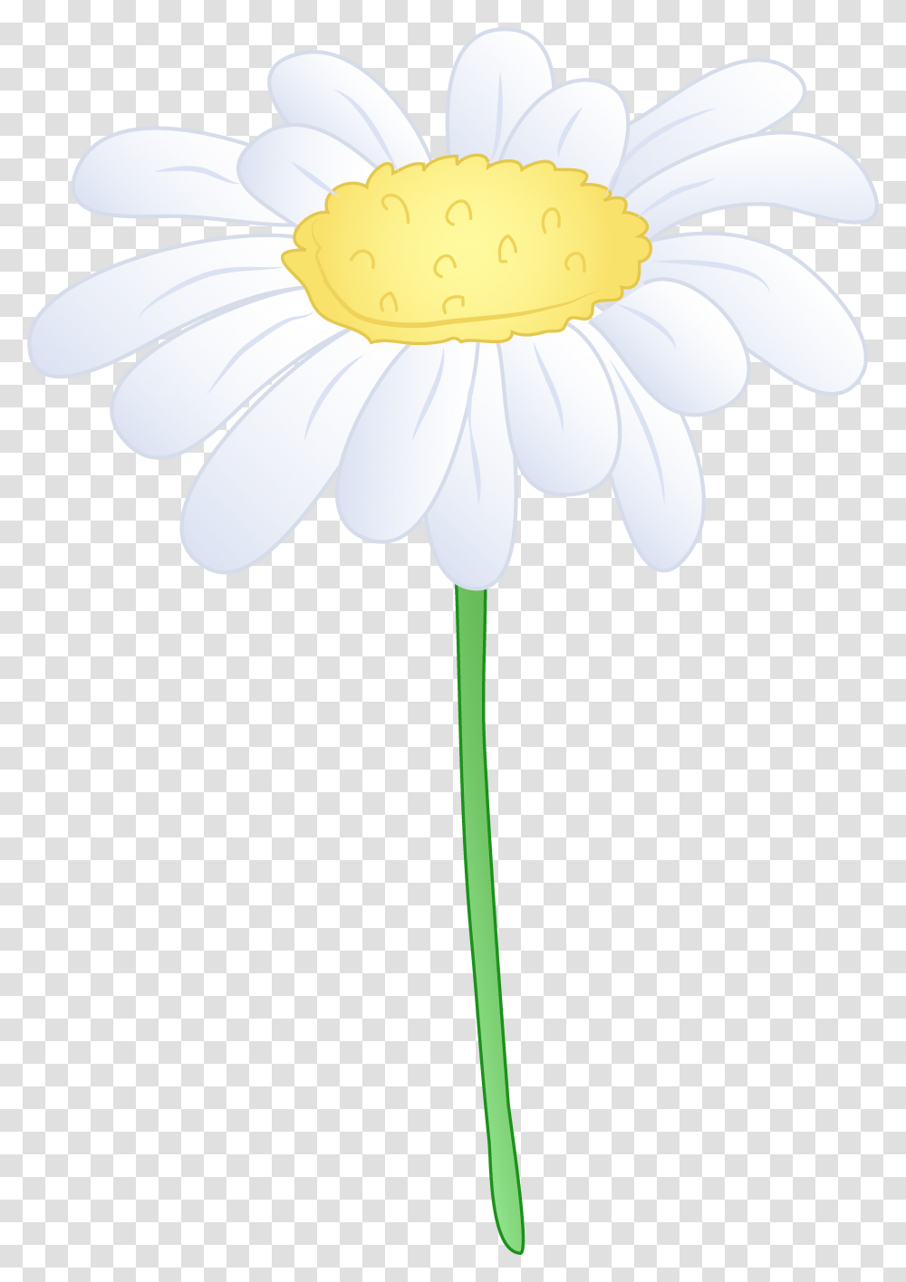 White Daisy Flower Hd Photo Clipart White Single Daisy Flower, Plant, Blossom, Daisies, Anther Transparent Png