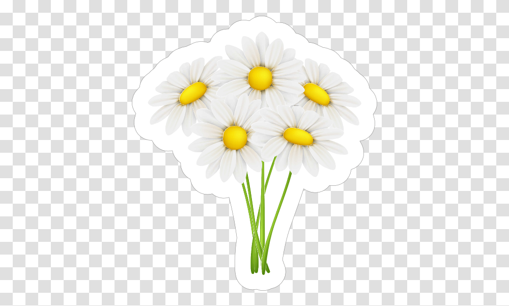 White Daisy Flower Sticker Lovely, Plant, Daisies, Blossom, Petal Transparent Png
