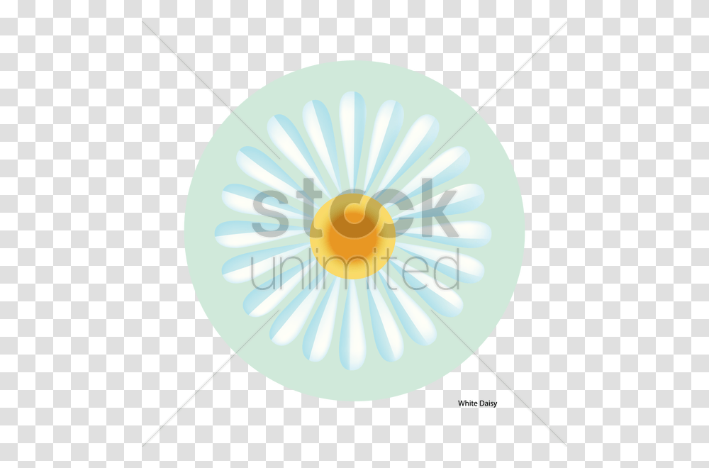 White Daisy Flower Vector Image, Plant, Blossom, Sweets Transparent Png