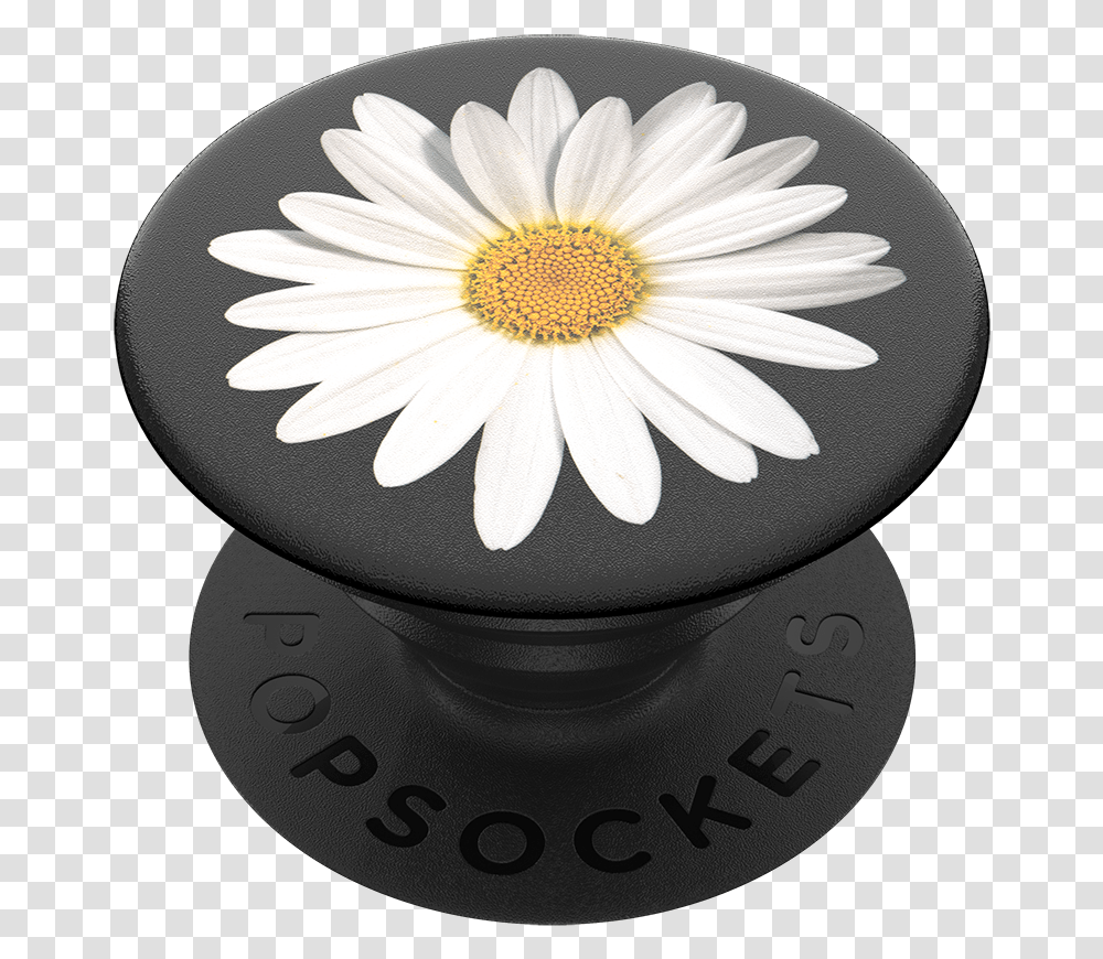 White Daisy Popsockets Flower, Plant, Daisies, Blossom, Birthday Cake Transparent Png