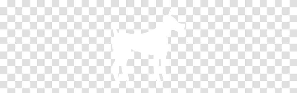 White Dog Icon, Texture, White Board, Apparel Transparent Png