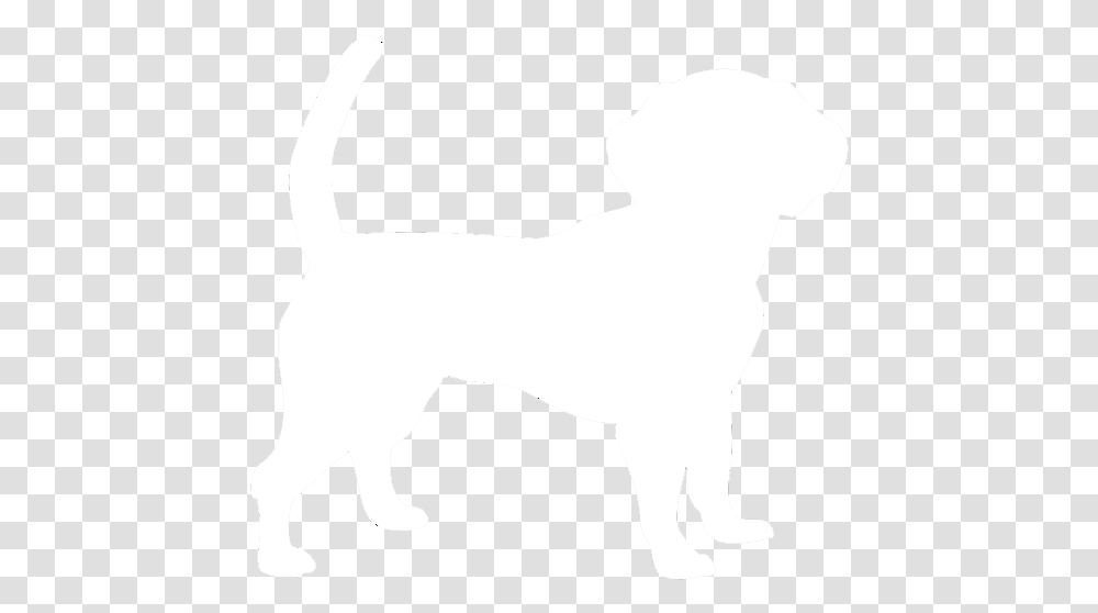 White Dog Silhouette Background Ancient Dog Breeds, Stencil, Canine, Mammal, Animal Transparent Png