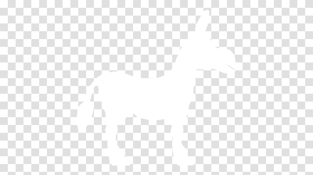 White Donkey Icon Free White Animal Icons, Mammal, Person, Human, Horse Transparent Png
