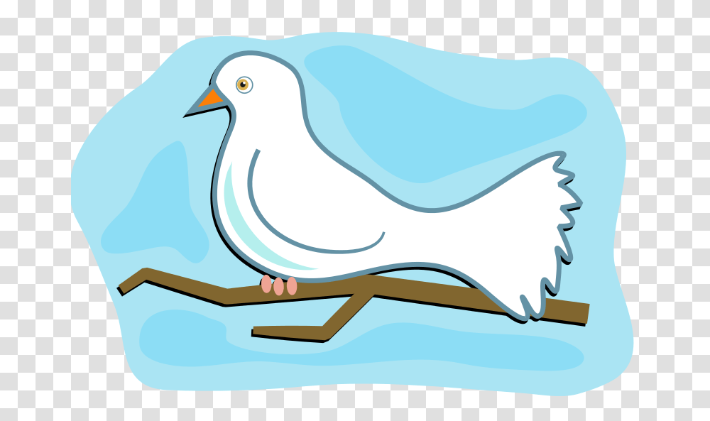 White Dove, Animals, Bird, Canary, Finch Transparent Png
