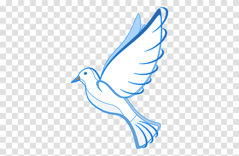 White Dove Clip Art, Bird, Animal, Pigeon, Seagull Transparent Png