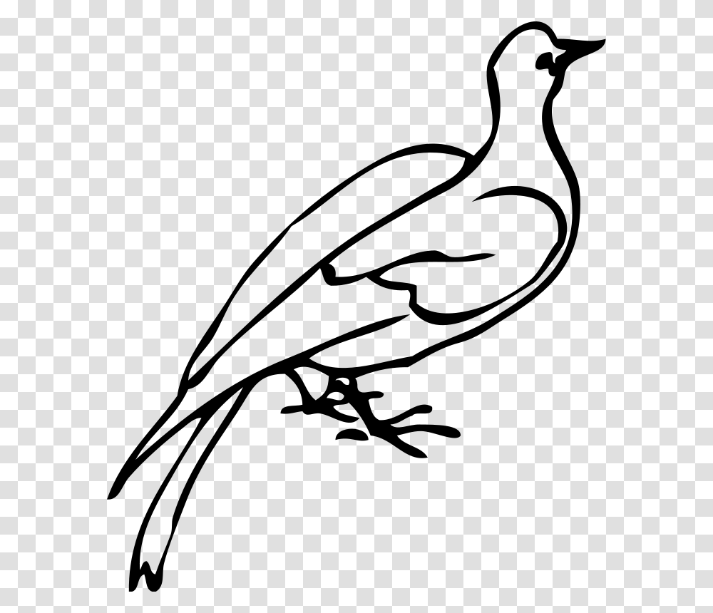 White Dove Clipart Clip Art, Gray, World Of Warcraft Transparent Png