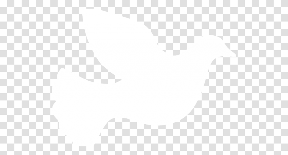 White Dove Clipart Fire, Hand, Person, Stencil Transparent Png