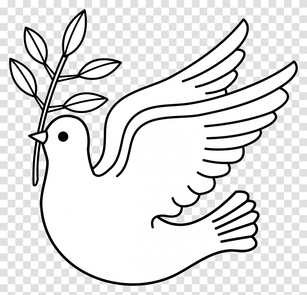 White Dove Clipart Symbolism Clipart, Bird, Animal, Turkey Bird, Poultry Transparent Png