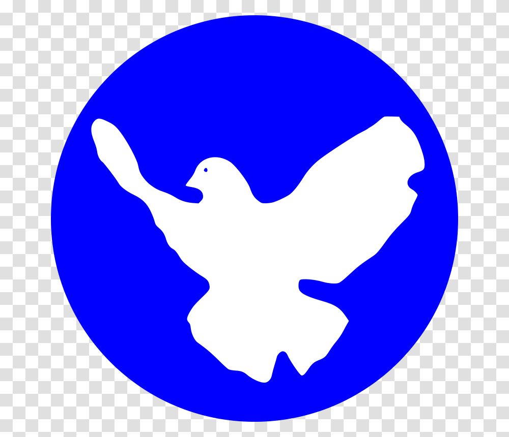 White Dove Free Download Vector, Bird, Animal, Astronomy, Fowl Transparent Png
