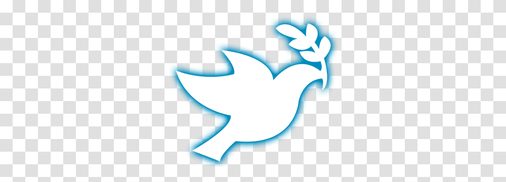 White Dove, Logo, Tree, Plant Transparent Png