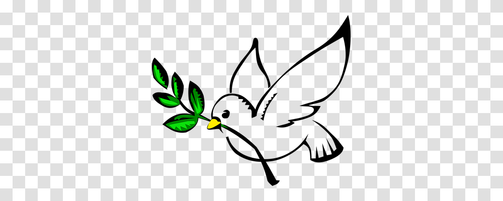 White Dove Olive Branch Pigeon Birds Bird Dove, Green, Animal, Leaf, Plant Transparent Png