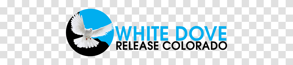 White Dove Release Colorado Home, Bird, Outdoors, Nature, Astronomy Transparent Png
