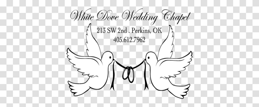 White Dove Wedding Whitedovewdwc Twitter Lovely, Bird, Animal, Stencil, Pigeon Transparent Png