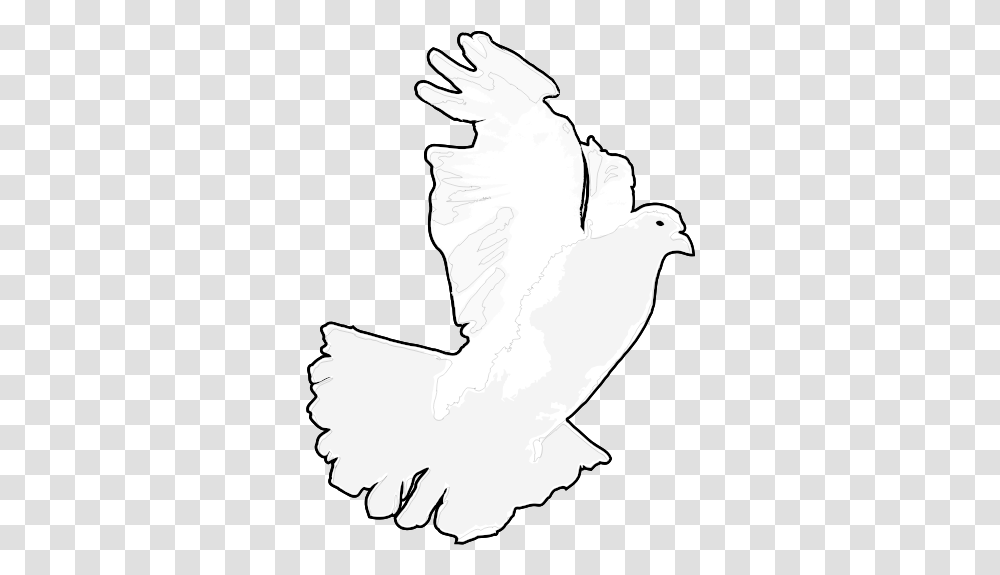 White Dove White Pigeon, Bird, Animal, Person, Human Transparent Png