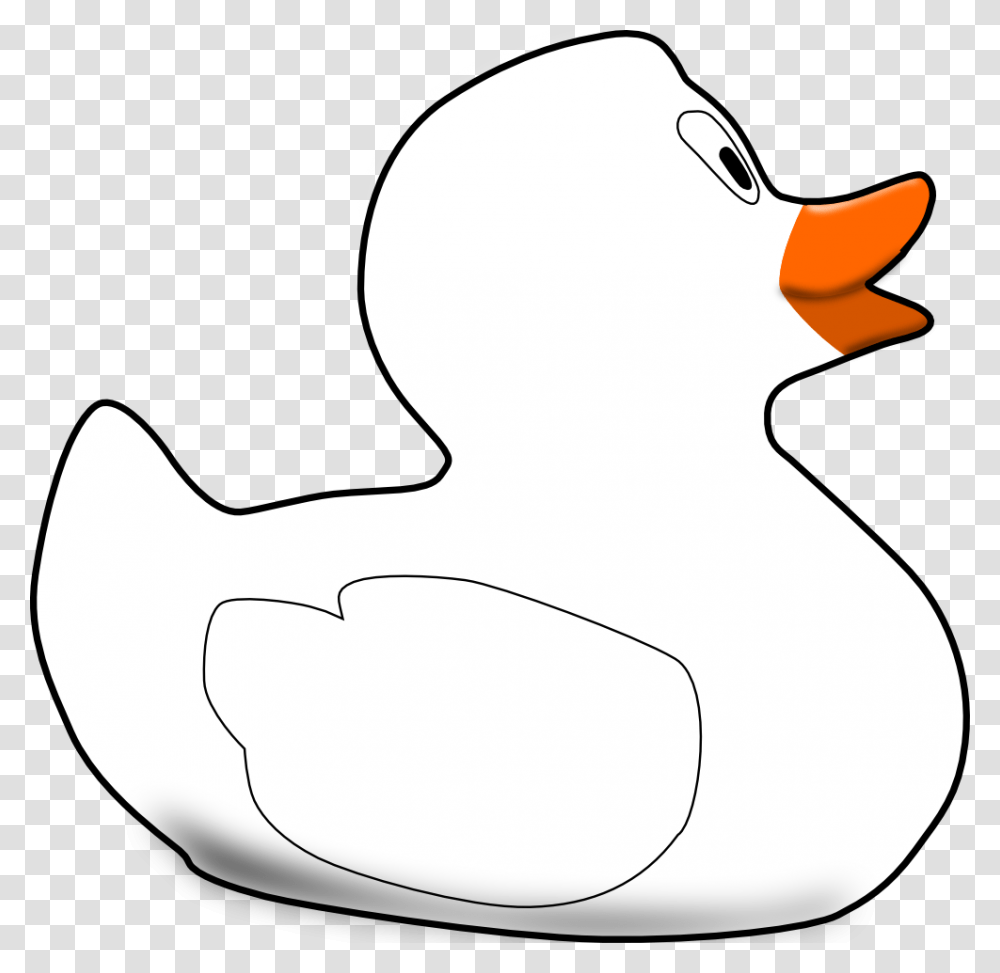 White Duck, Bird, Animal, Waterfowl, Beak Transparent Png