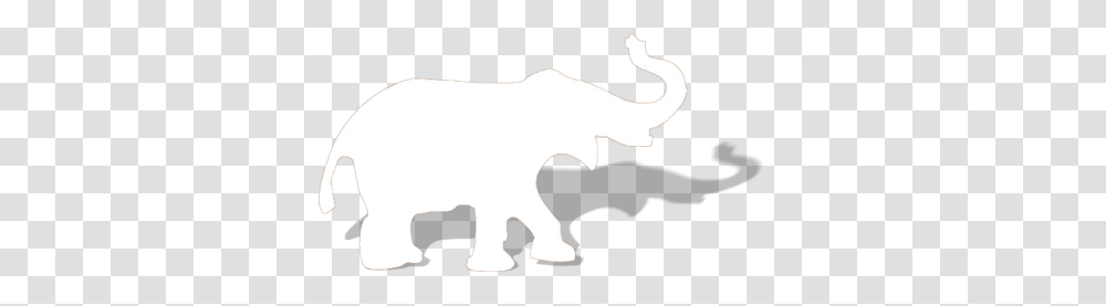 White Elephant, Animal, Bull, Mammal, Wildlife Transparent Png