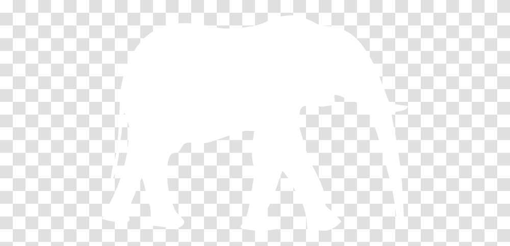 White Elephant Clip Art, Texture, White Board, Apparel Transparent Png