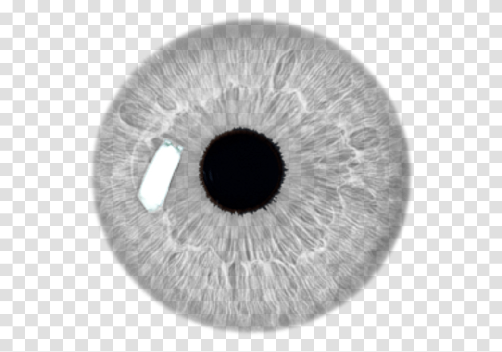 White Eye Eye Stickers Grey Filter Eye Lens Hd, X-Ray, Ct Scan, Medical Imaging X-Ray Film, Rug Transparent Png