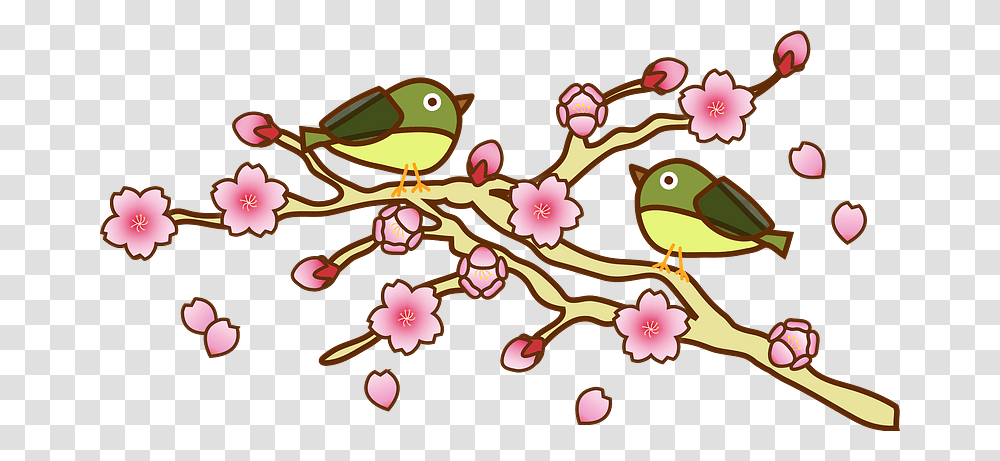 White Eye Warbling And Cherry Blossoms Clipart, Pattern, Floral Design, Bird Transparent Png
