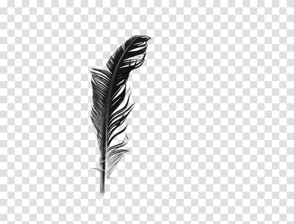 White Feather Black And White, Bird, Animal, Bottle, Ink Bottle Transparent Png
