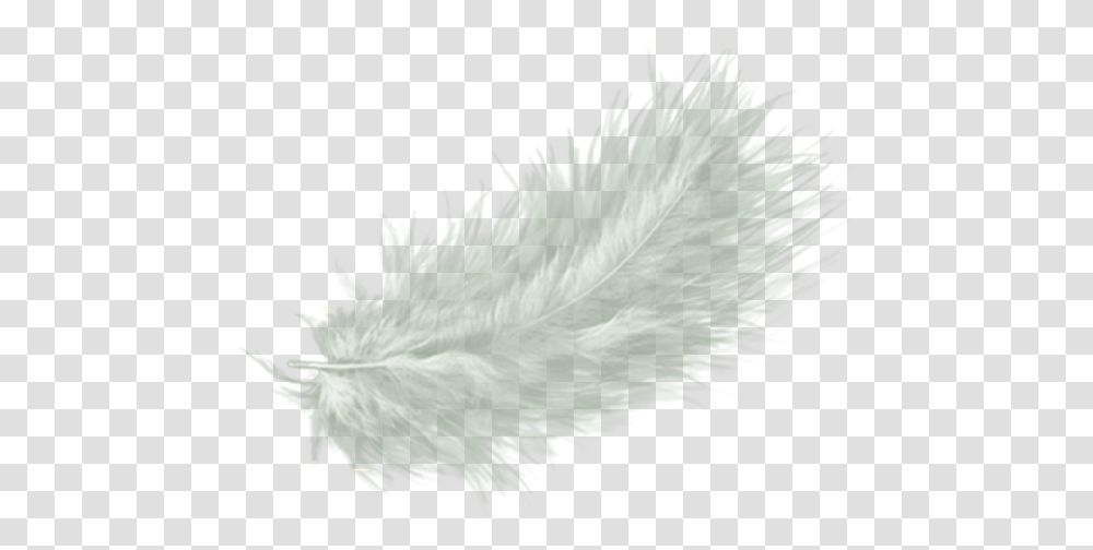 White Feather Drawing Clip Art White Fur Background, Clothing, Nature, Outdoors, Plant Transparent Png