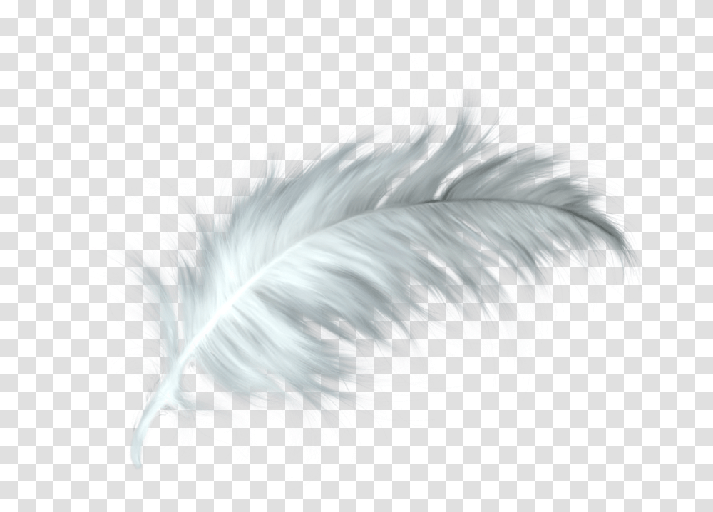 White Feather Healing Quill Paris Background Feather, Ornament, Pattern, Fractal, Bird Transparent Png