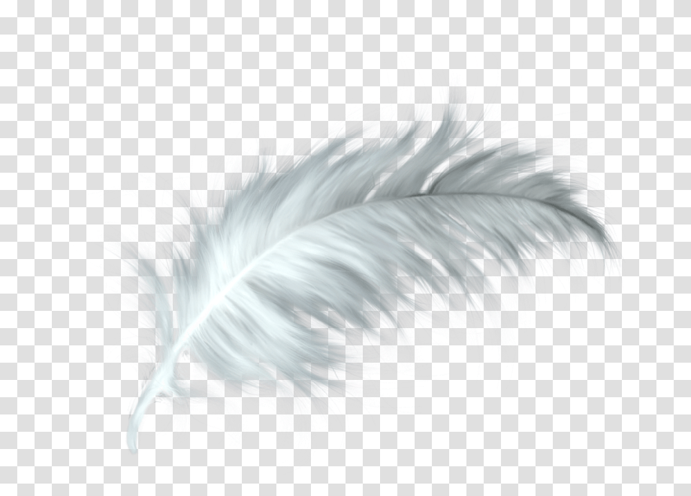 White Feather Healing Quill Paris White Feather, Ornament, Pattern, Fractal, Bird Transparent Png