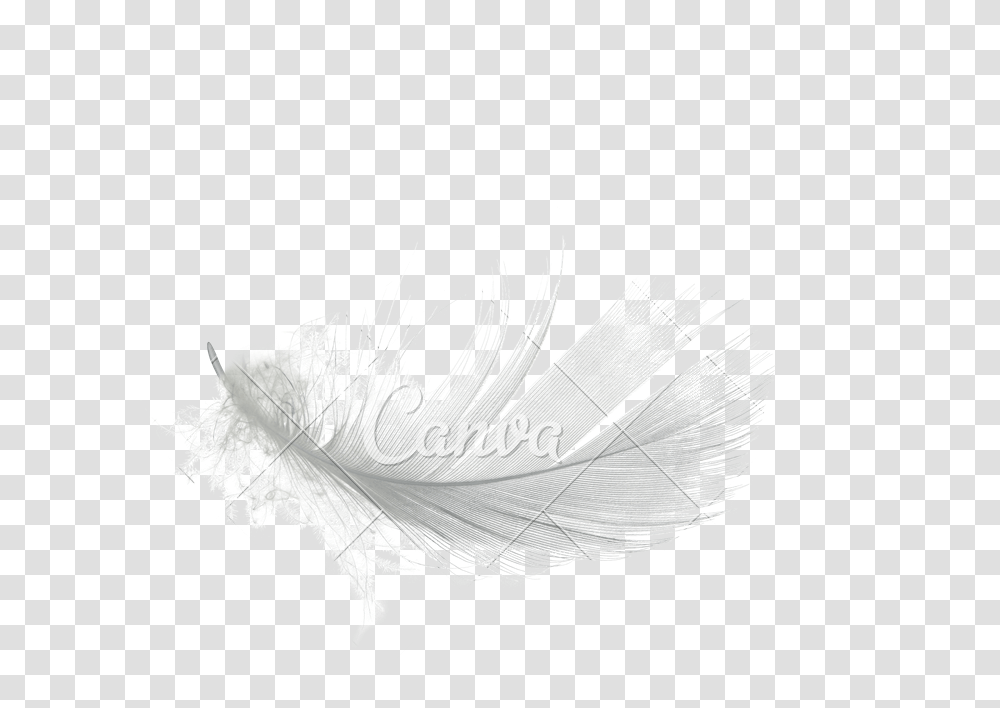 White Feather High Quality Image Sketch, Paper, Costume Transparent Png