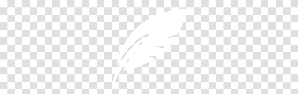 White Feather Icon, Texture, White Board, Apparel Transparent Png