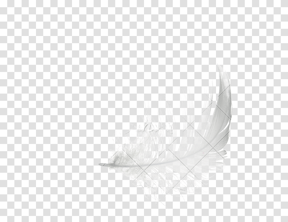White Feather Sketch, Leaf, Plant, Silhouette, Veins Transparent Png
