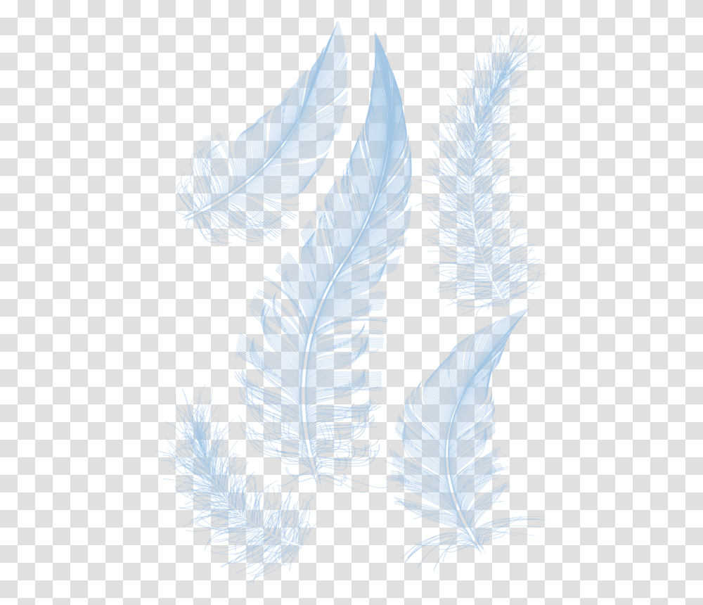 White Feathers Feather Hq Image Free Clipart Powerpoint Background Design Feather, Plant, Grass, Root, Fern Transparent Png
