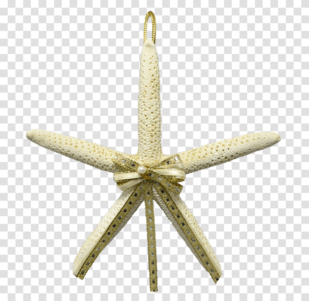 White Finger Starfish Ornament 4 5, Invertebrate, Sea Life, Animal, Cross Transparent Png