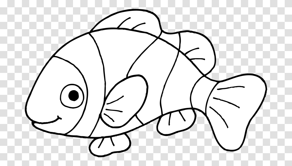 White Fish Clipart, Animal, Sea Life, Drawing Transparent Png