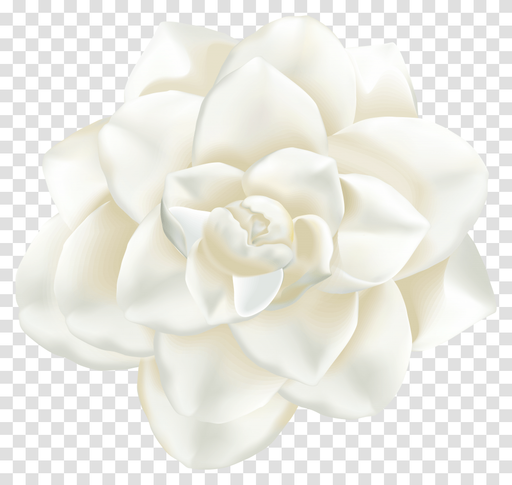 White Flower Art Transparent Png