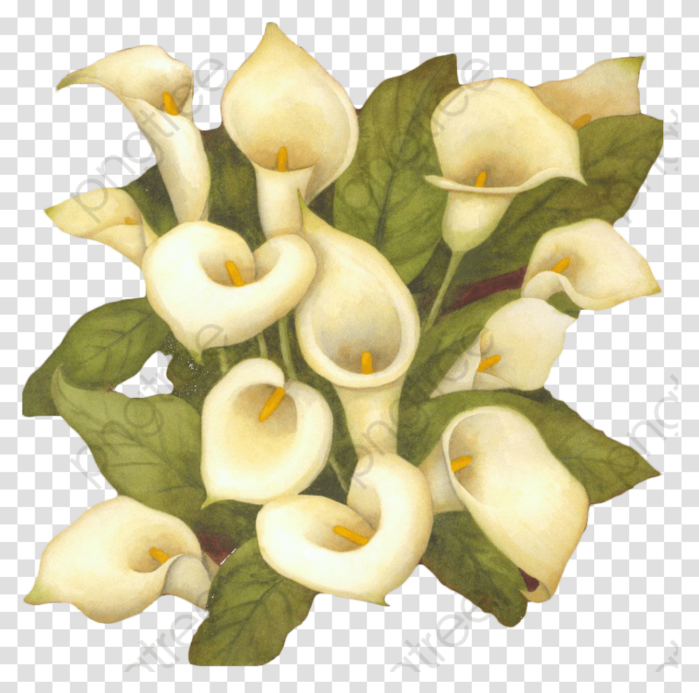 White Flower Bouquet Clipart Arum Lily, Plant, Blossom, Egg, Food Transparent Png