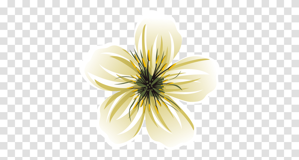 White Flower Cartoon White Flower Vector, Plant, Blossom, Petal, Pattern Transparent Png