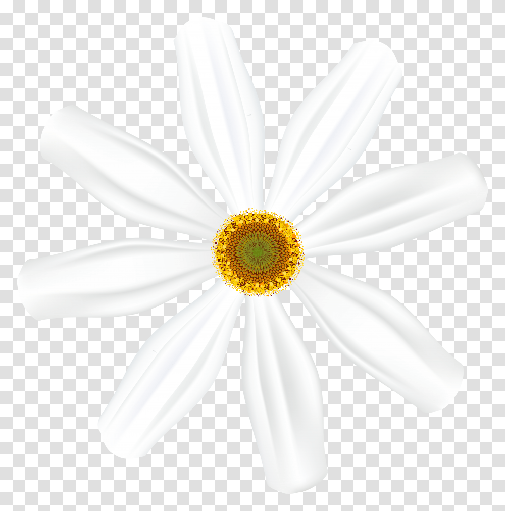 White Flower Clip Art Transparent Png