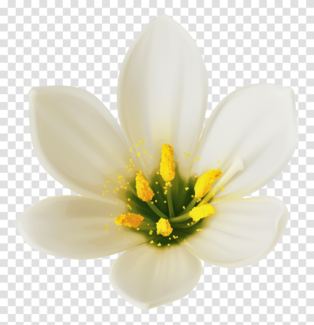 White Flower Clipart Transparent Png