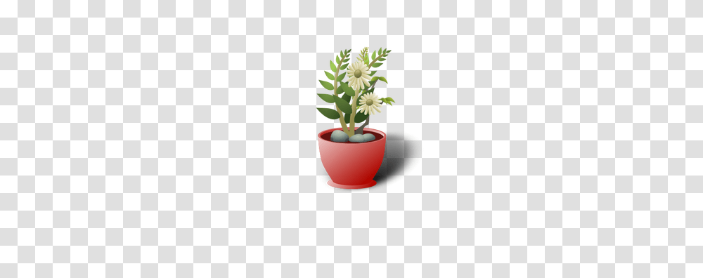 White Flower Pot, Plant, Vase, Jar, Pottery Transparent Png