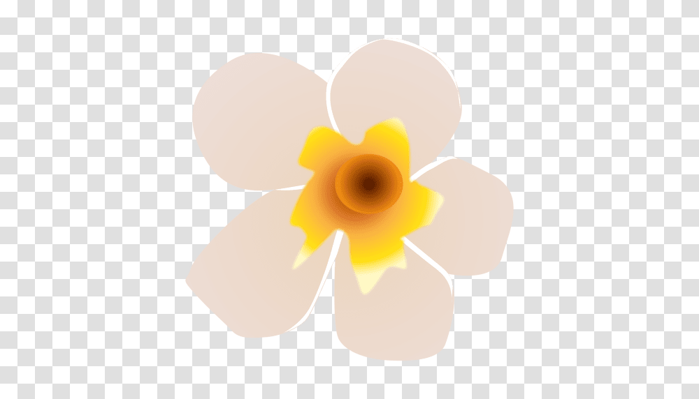 White Flower Spa, Plant, Blossom, Daffodil, Petal Transparent Png