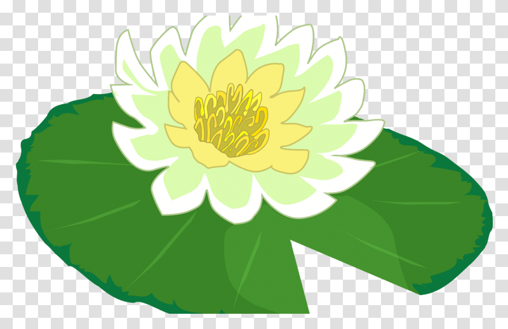 White Flower Water Lily Clipart The Lily Pad Clip Art, Plant, Blossom, Graphics, Pond Lily Transparent Png