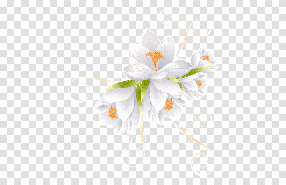 White Flowers Beautiful Flowers Flower Decorations White Background Flower, Floral Design, Pattern Transparent Png