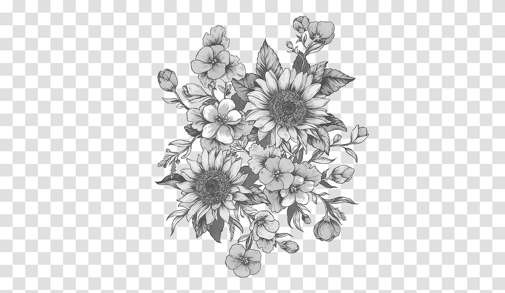 White Flowers Clip Free Library Black And White Sunflower Drawing, Graphics, Art, Floral Design, Pattern Transparent Png