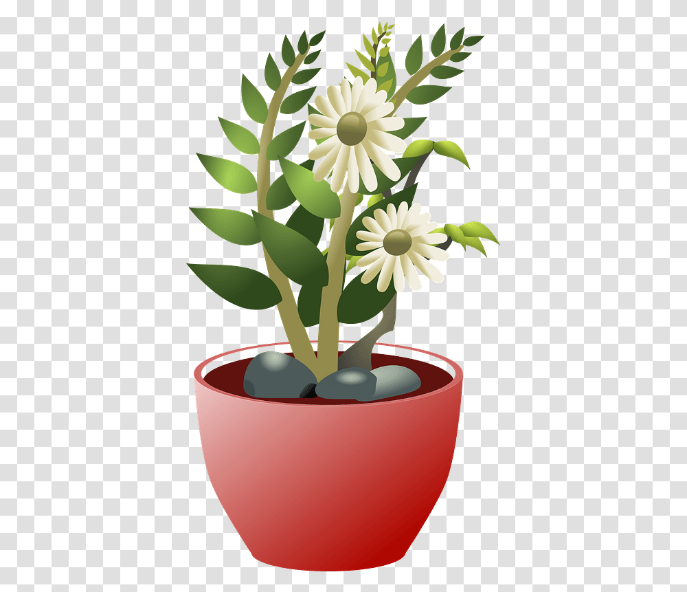 White Flowers In A Brown Pot Clipart Background Pot Bunga, Plant, Daisy, Daisies, Blossom Transparent Png