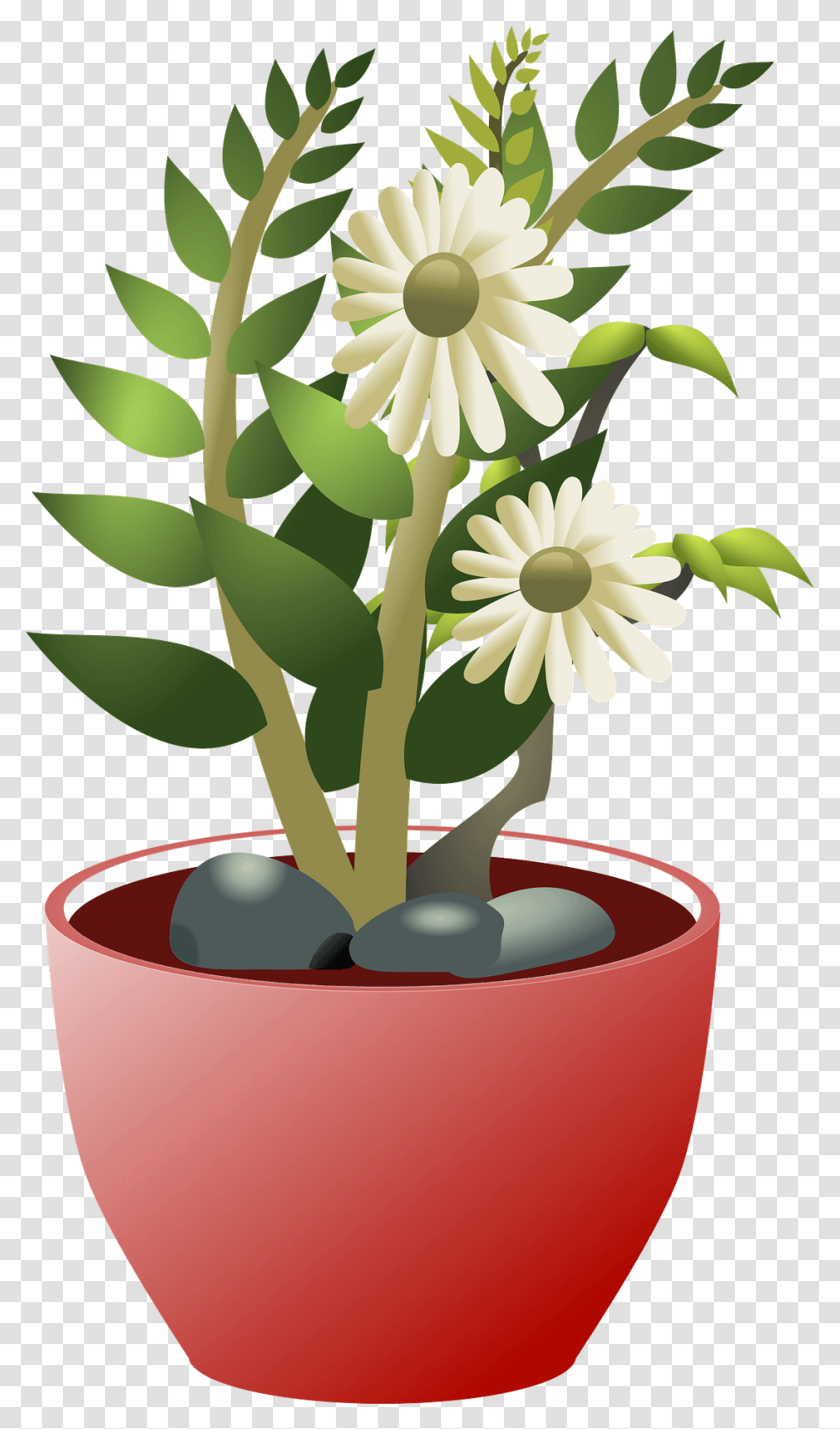 White Flowers In A Brown Pot Clipart Free Download Clip Art, Plant, Daisy, Daisies, Blossom Transparent Png