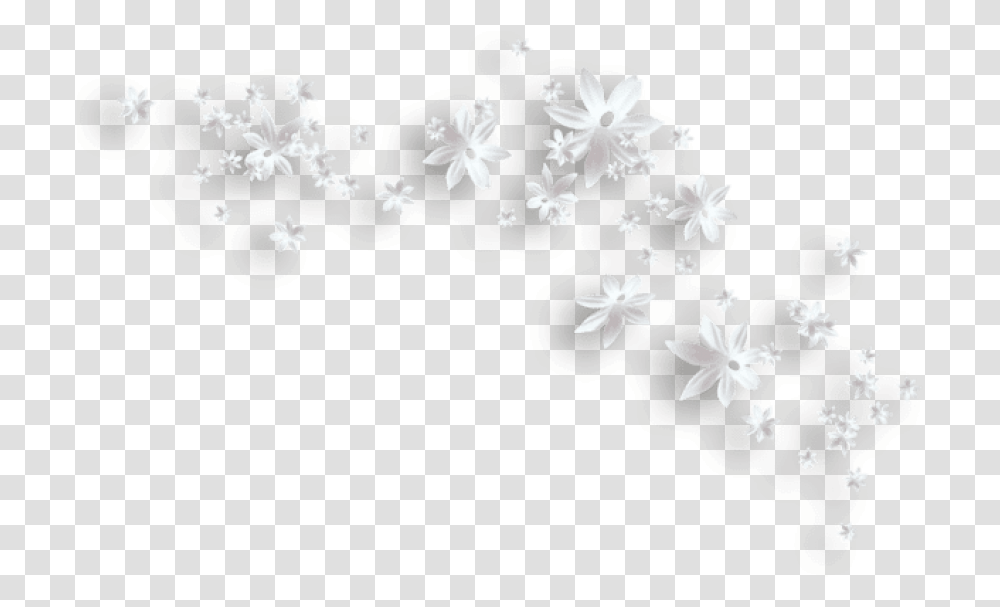 White Flowers White Flowers Clipart, Floral Design, Pattern, Plant Transparent Png
